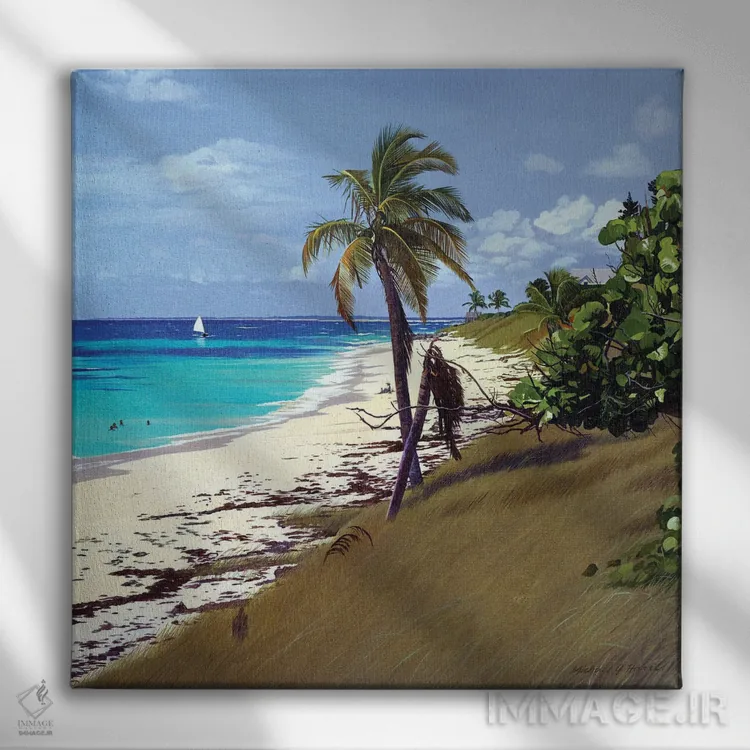 تابلو دکوراتیو بادهای تجاری، باهاما اثر مایکل جی. هارل - نمای روبهرو روی دیوار