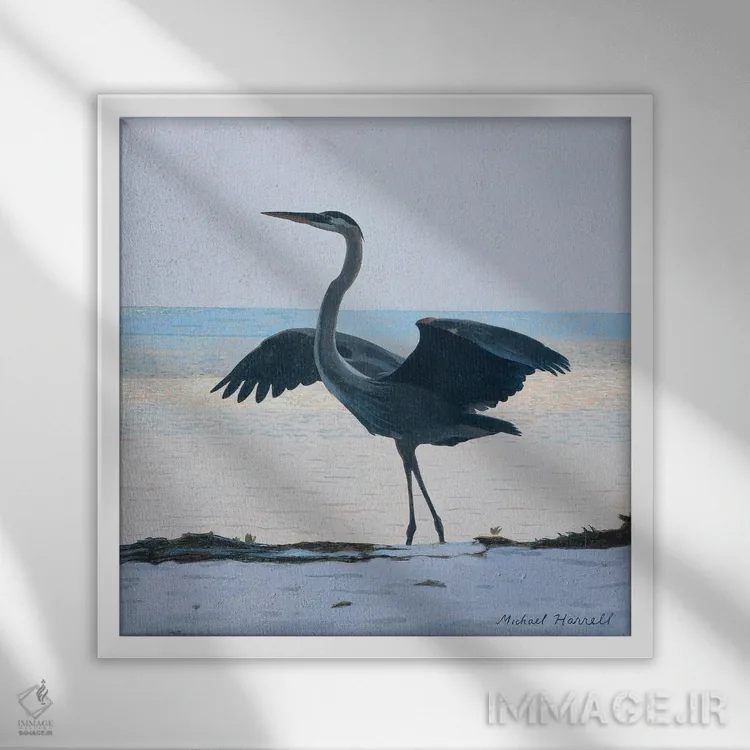 تابلو دکوراتیو حواصیل آبی بزرگ در غروب اثر مایکل جی. هارل - نمای قابدار سفید