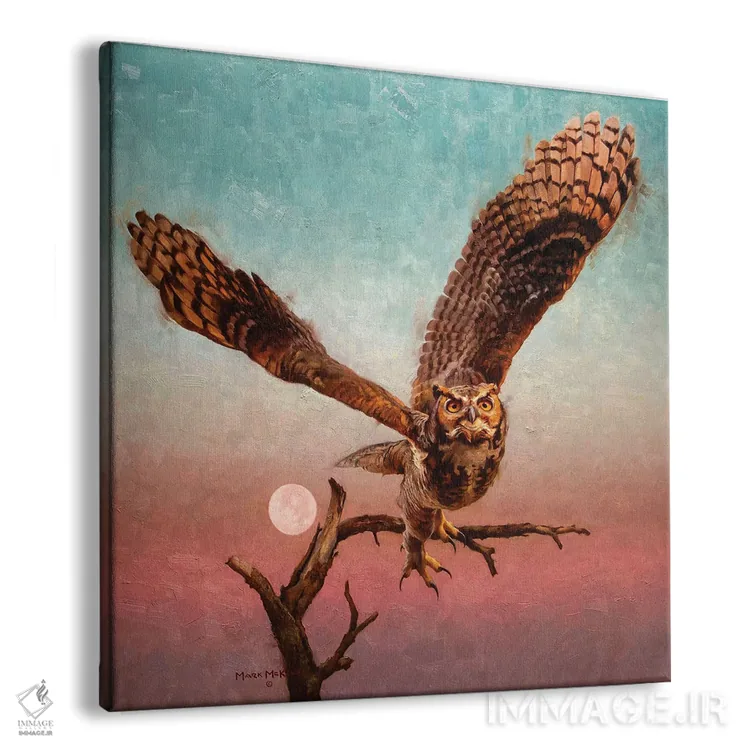 تابلو دکوراتیو به سوی شب اثر مارک مک کنا - نمای پرسپکتیو محصول