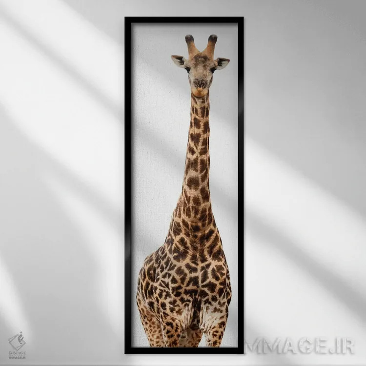 تابلو دکوراتیو زرافه نسخه سفید III اثر فیلیپ هوگونار - نمای قابدار مشکی