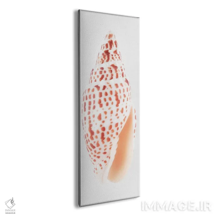 تابلو دکوراتیو صدف میتر اثر فیلیپ هوگونار - نمای پرسپکتیو محصول