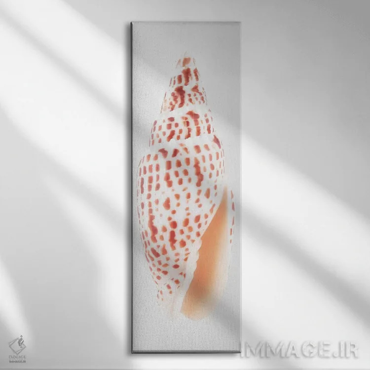 تابلو دکوراتیو صدف میتر اثر فیلیپ هوگونار - نمای روبهرو روی دیوار