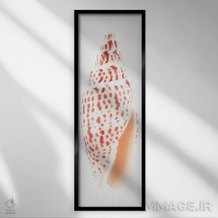 تابلو دکوراتیو صدف میتر اثر فیلیپ هوگونار - نمای قابدار مشکی