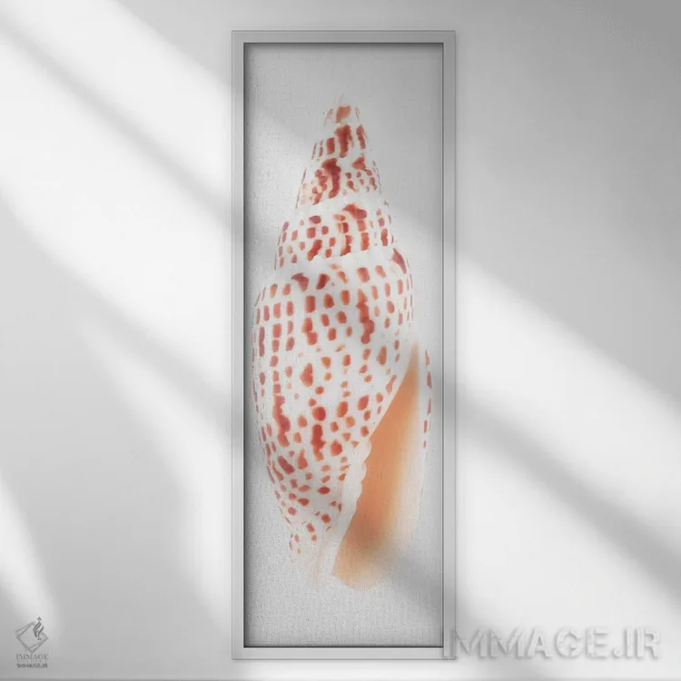 تابلو دکوراتیو صدف میتر اثر فیلیپ هوگونار - نمای قابدار سفید