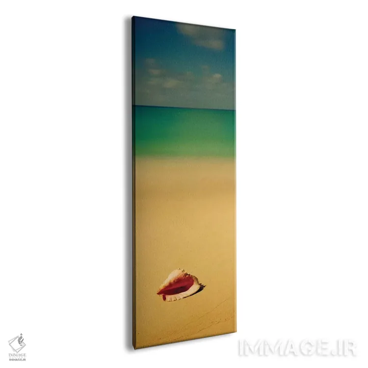 تابلو دکوراتیو صدف خرچنگی بر روی ساحل ۱، جزیره کات، باهاما اثر پانورامیک ایمجز - نمای پرسپکتیو محصول