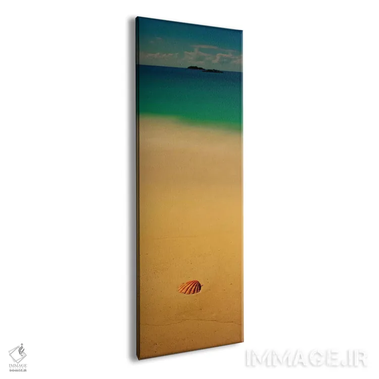 تابلو دکوراتیو صدف دریایی بر روی ساحل، جزیره کات، باهاما اثر پانورامیک ایمجز - نمای پرسپکتیو محصول