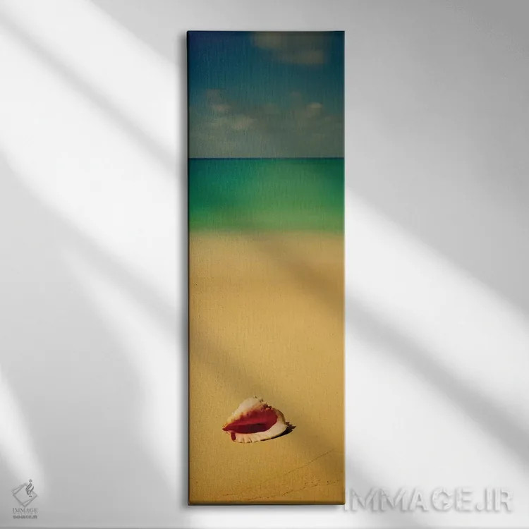 تابلو دکوراتیو صدف خرچنگی بر روی ساحل ۱، جزیره کات، باهاما اثر پانورامیک ایمجز - نمای روبهرو روی دیوار