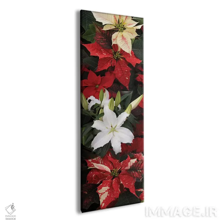 تابلو دکوراتیو گل های پوانستیا نزدیک VII اثر پانورامیک ایمجز - نمای پرسپکتیو محصول