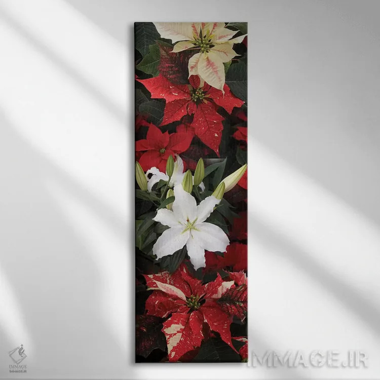 تابلو دکوراتیو گل های پوانستیا نزدیک VII اثر پانورامیک ایمجز - نمای روبهرو روی دیوار