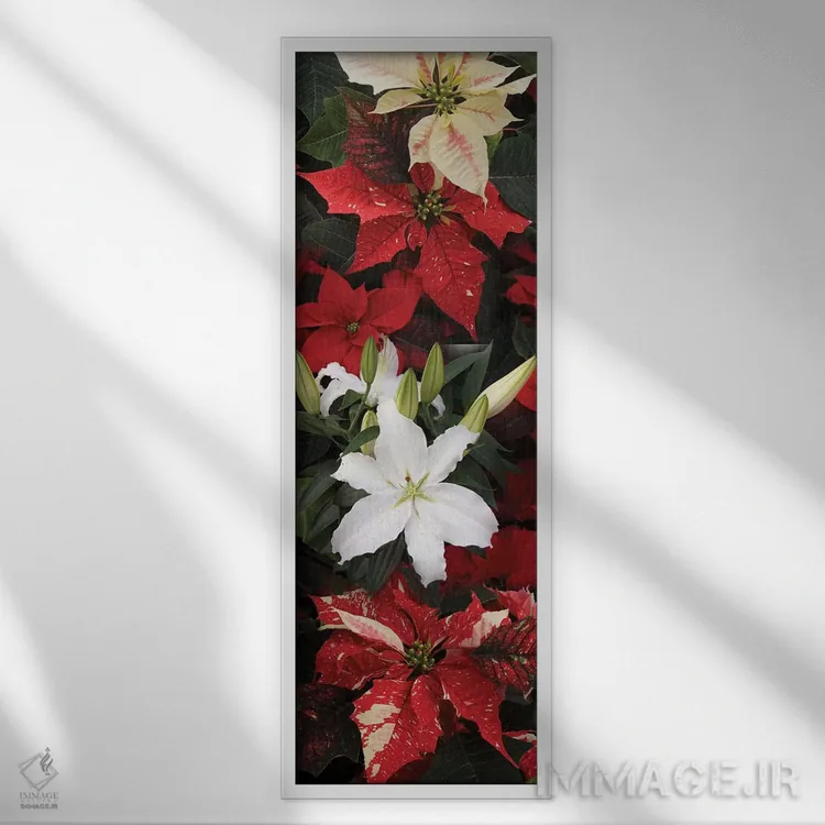 تابلو دکوراتیو گل های پوانستیا نزدیک VII اثر پانورامیک ایمجز - نمای قابدار سفید