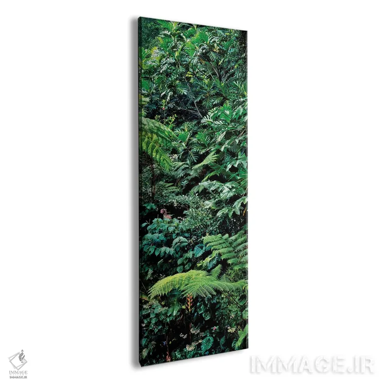 تابلو دکوراتیو Papillote Wilderness Retreat And Nature Sanctuary, Domi… اثر پانورامیک ایمجز - نمای پرسپکتیو محصول