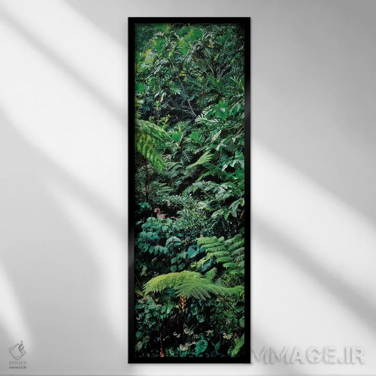 تابلو دکوراتیو Papillote Wilderness Retreat And Nature Sanctuary, Domi… اثر پانورامیک ایمجز - نمای قابدار مشکی