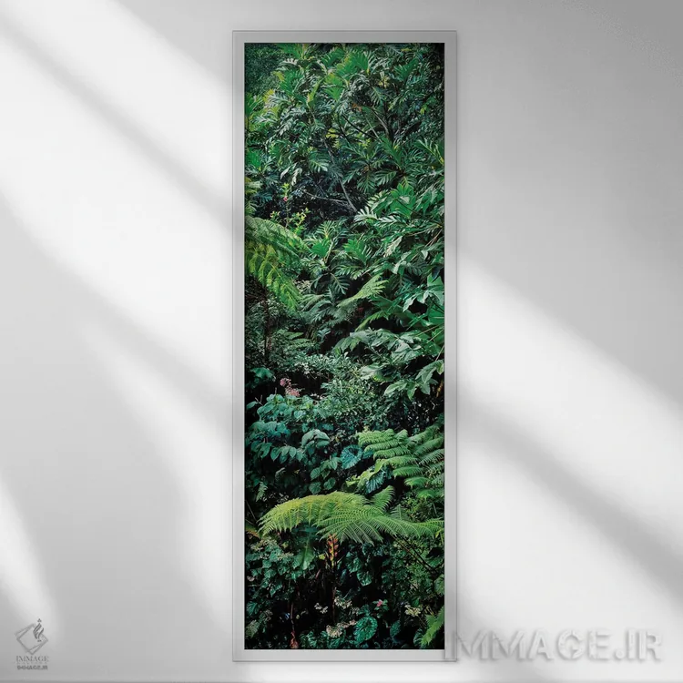 تابلو دکوراتیو Papillote Wilderness Retreat And Nature Sanctuary, Domi… اثر پانورامیک ایمجز - نمای قابدار سفید