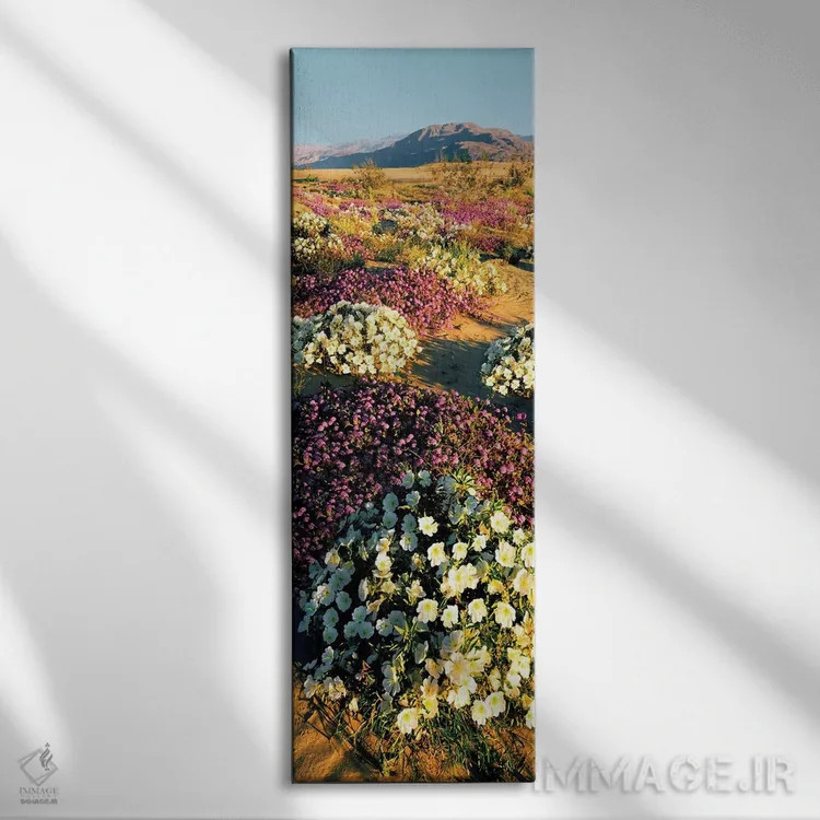تابلو دکوراتیو Anza-Borrego Desert State Park, California, USA" - "گرو… اثر پانورامیک ایمجز - نمای روبهرو روی دیوار