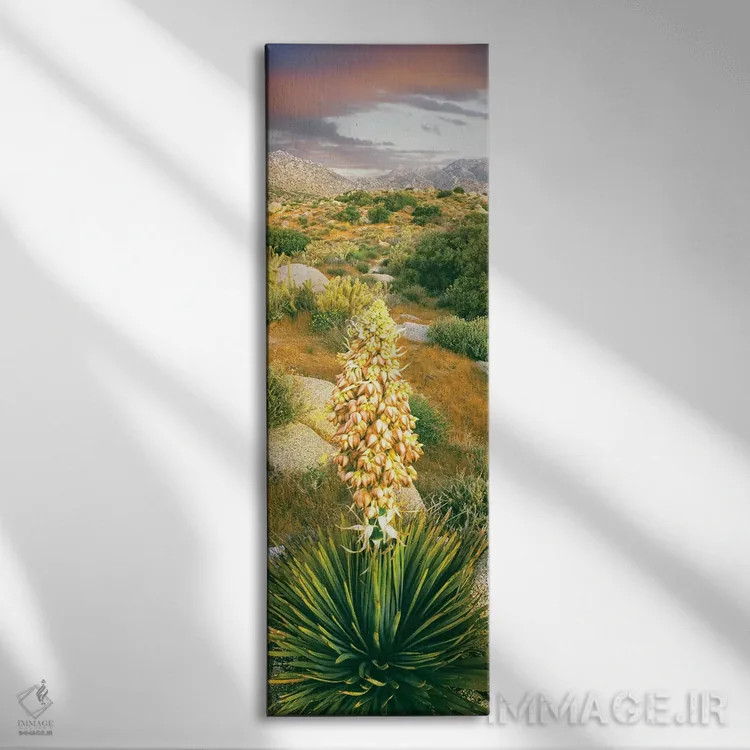 تابلو دکوراتیو Culp Valley, Anza-Borrego Desert State Park, California… اثر پانورامیک ایمجز - نمای روبهرو روی دیوار