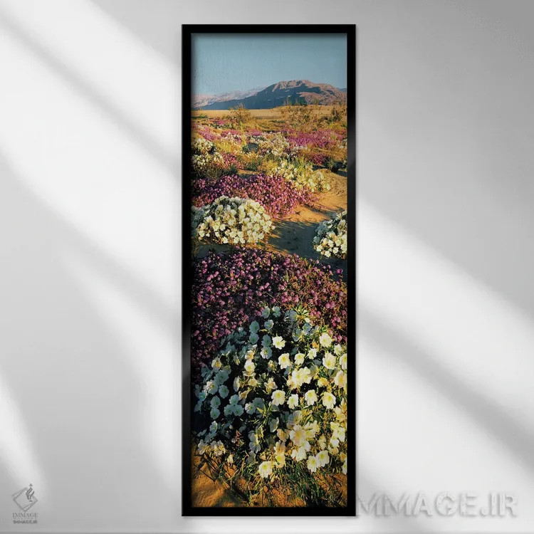 تابلو دکوراتیو Anza-Borrego Desert State Park, California, USA" - "گرو… اثر پانورامیک ایمجز - نمای قابدار مشکی