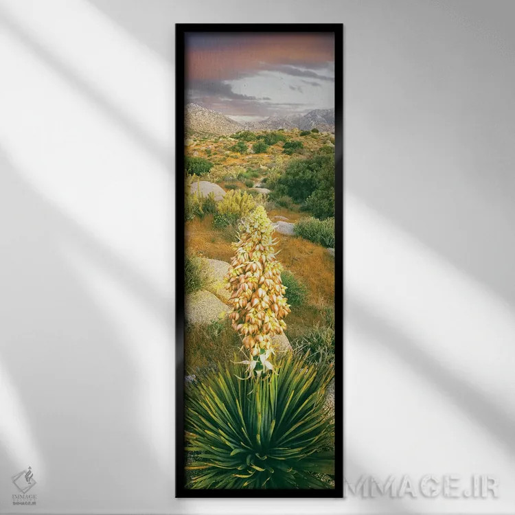 تابلو دکوراتیو Culp Valley, Anza-Borrego Desert State Park, California… اثر پانورامیک ایمجز - نمای قابدار مشکی