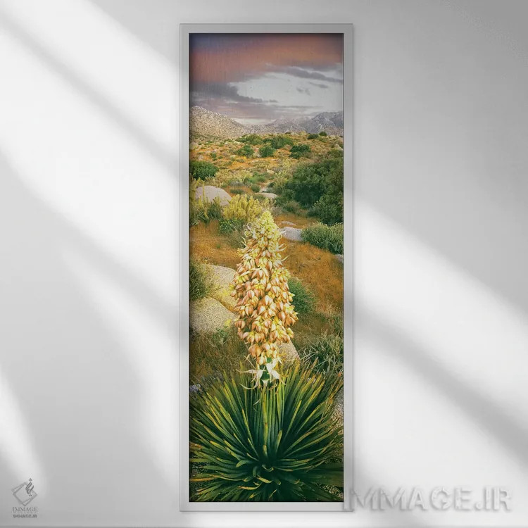 تابلو دکوراتیو Culp Valley, Anza-Borrego Desert State Park, California… اثر پانورامیک ایمجز - نمای قابدار سفید