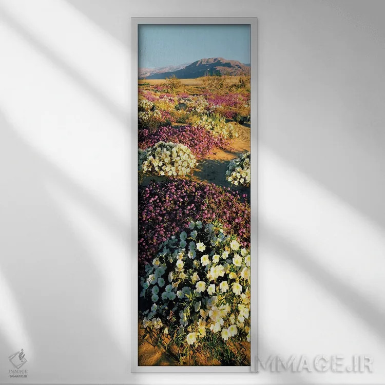 تابلو دکوراتیو Anza-Borrego Desert State Park, California, USA" - "گرو… اثر پانورامیک ایمجز - نمای قابدار سفید