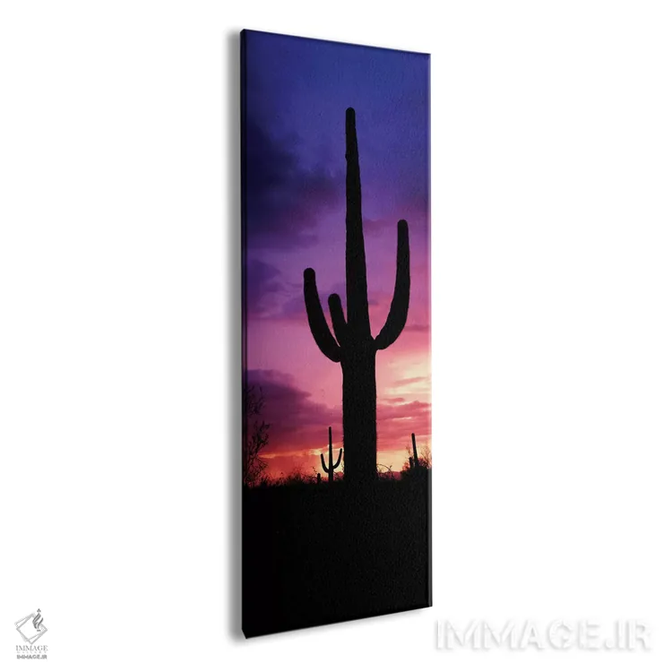 تابلو دکوراتیو سیلوئت کاکتوس ساگوارو در برابر آسمان مه آلود در هنگام غ… اثر پانورامیک ایمجز - نمای پرسپکتیو محصول