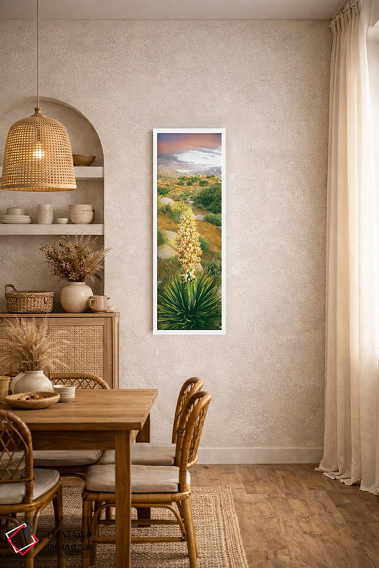 تابلو دکوراتیو Culp Valley, Anza-Borrego Desert State Park, California… اثر پانورامیک ایمجز - D3W