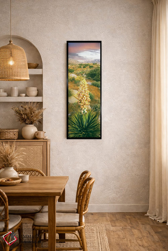 تابلو دکوراتیو Culp Valley, Anza-Borrego Desert State Park, California… اثر پانورامیک ایمجز - D5B