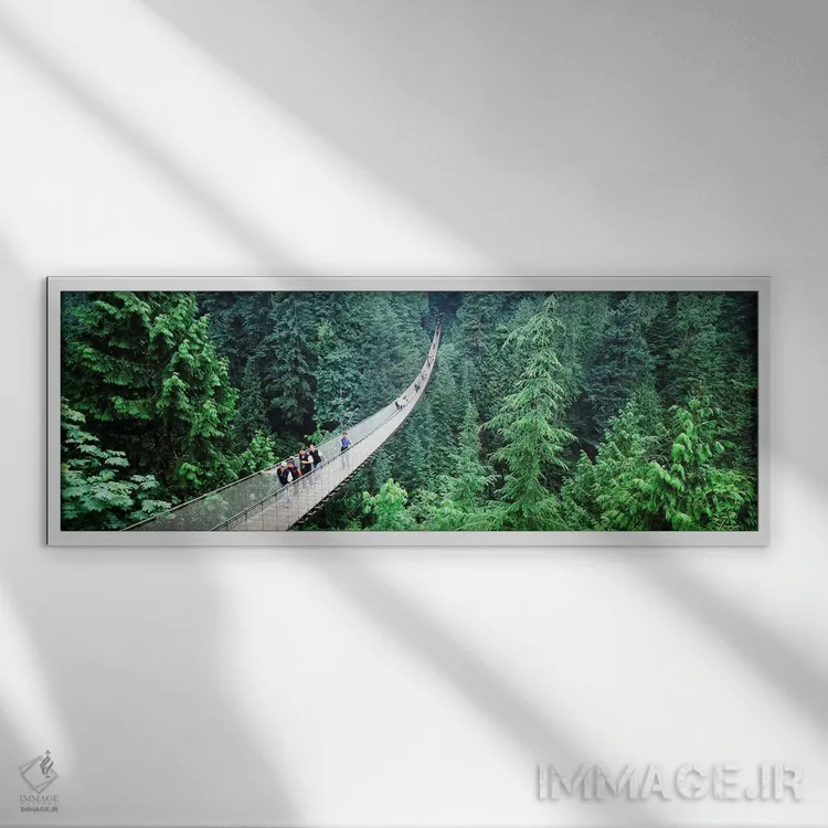 تابلو دکوراتیو North Vancouver, British Columbia, Canada,پل معلق کاپیل… اثر پانورامیک ایمجز - نمای قابدار سفید