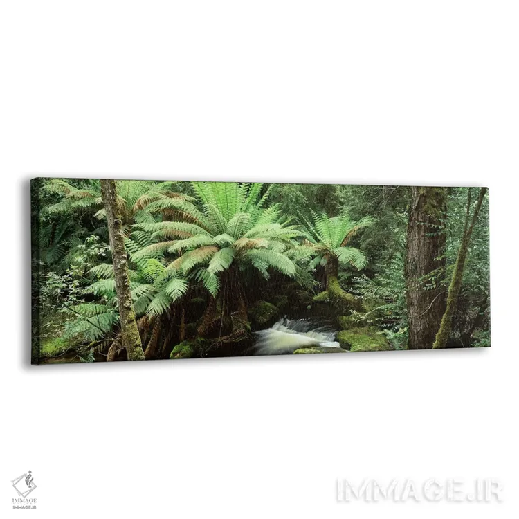 تابلو دکوراتیو Mount Field National Park, Tasmania, Australia,منظره جن… اثر پانورامیک ایمجز - نمای پرسپکتیو محصول