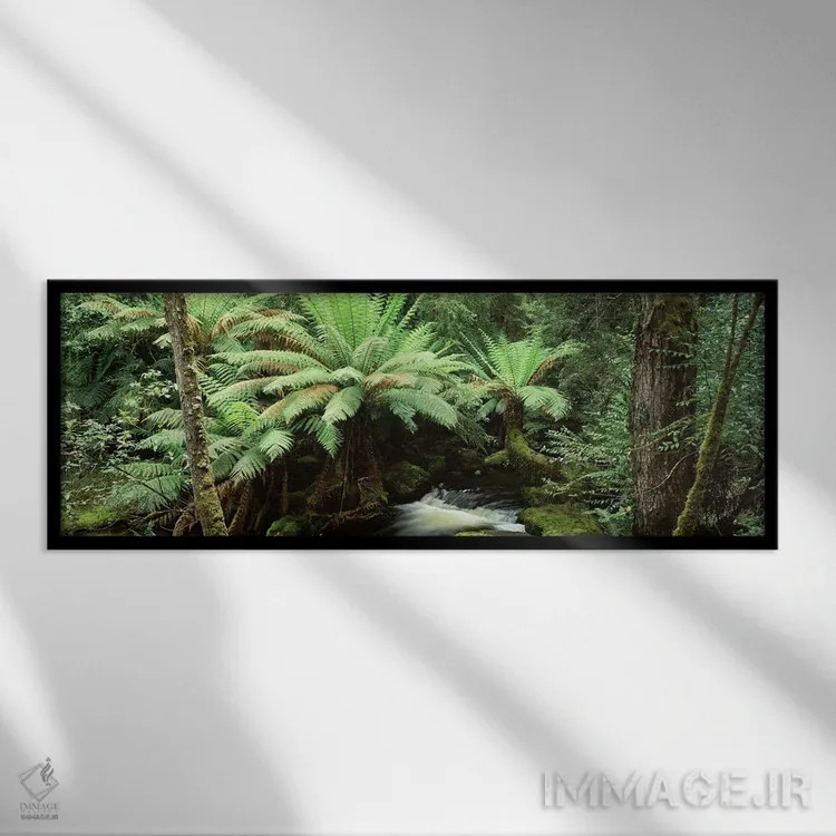 تابلو دکوراتیو Mount Field National Park, Tasmania, Australia,منظره جن… اثر پانورامیک ایمجز - نمای قابدار مشکی
