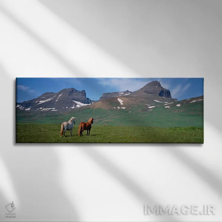 تابلو دکوراتیو Borgarfjordur, Iceland #3,اسب های ایستاده و در حال چرا… اثر پانورامیک ایمجز - نمای روبهرو روی دیوار