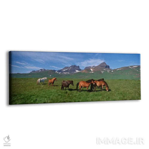 تابلو دکوراتیو Borgarfjordur, Iceland #2,اسب های ایستاده و در حال چرا… اثر پانورامیک ایمجز - نمای پرسپکتیو محصول