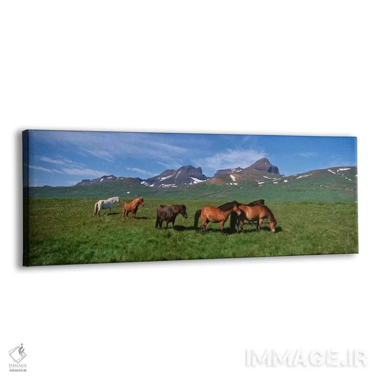 تابلو دکوراتیو Borgarfjordur, Iceland #2,اسب های ایستاده و در حال چرا… اثر پانورامیک ایمجز - نمای پرسپکتیو محصول
