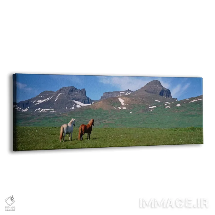 تابلو دکوراتیو Borgarfjordur, Iceland #3,اسب های ایستاده و در حال چرا… اثر پانورامیک ایمجز - نمای پرسپکتیو محصول