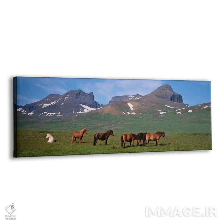 تابلو دکوراتیو Borgarfjordur, Iceland,اسب های ایستاده و در حال چرا در… اثر پانورامیک ایمجز - نمای پرسپکتیو محصول