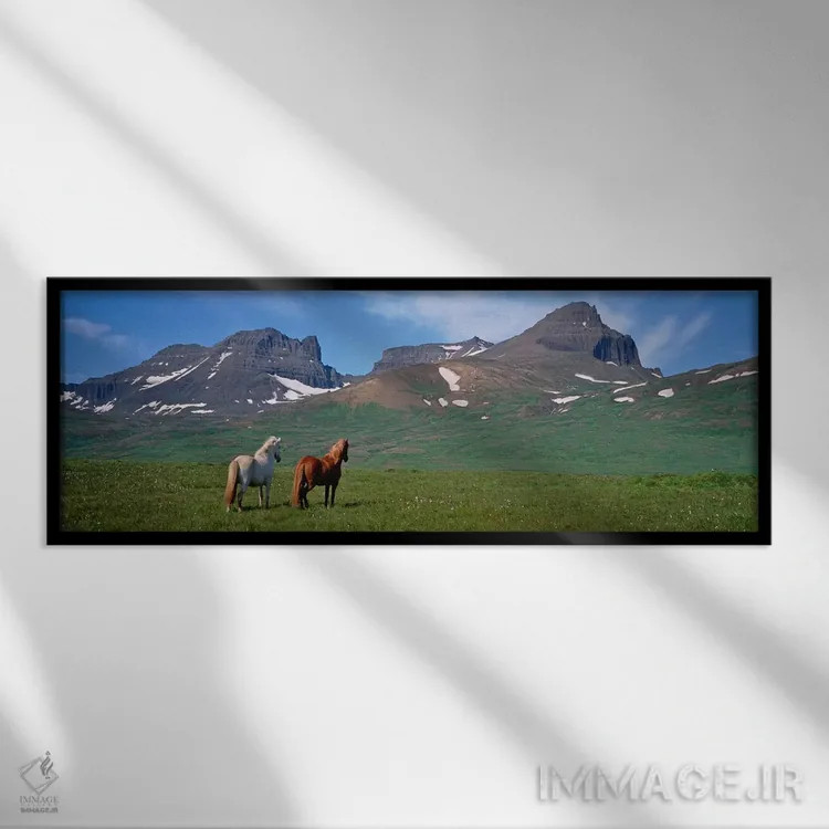 تابلو دکوراتیو Borgarfjordur, Iceland #3,اسب های ایستاده و در حال چرا… اثر پانورامیک ایمجز - نمای قابدار مشکی