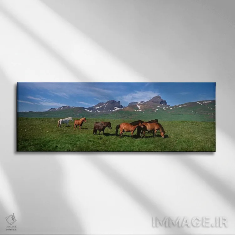 تابلو دکوراتیو Borgarfjordur, Iceland #2,اسب های ایستاده و در حال چرا… اثر پانورامیک ایمجز - نمای روبهرو روی دیوار
