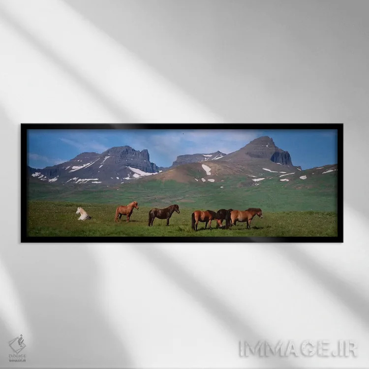 تابلو دکوراتیو Borgarfjordur, Iceland,اسب های ایستاده و در حال چرا در… اثر پانورامیک ایمجز - نمای قابدار مشکی