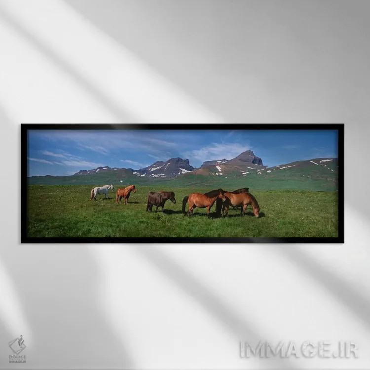تابلو دکوراتیو Borgarfjordur, Iceland #2,اسب های ایستاده و در حال چرا… اثر پانورامیک ایمجز - نمای قابدار مشکی