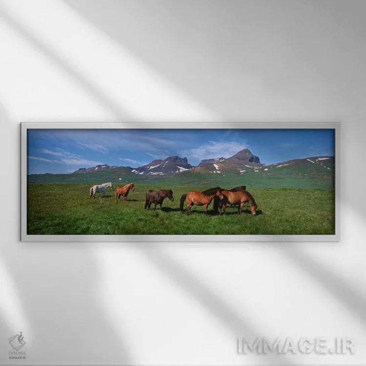 تابلو دکوراتیو Borgarfjordur, Iceland #2,اسب های ایستاده و در حال چرا… اثر پانورامیک ایمجز - نمای قابدار سفید