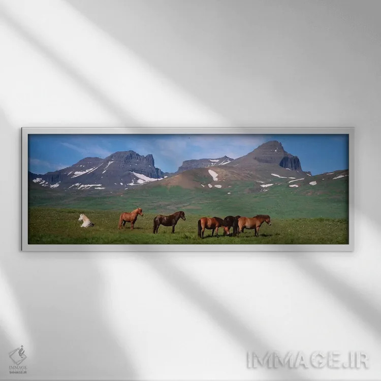 تابلو دکوراتیو Borgarfjordur, Iceland,اسب های ایستاده و در حال چرا در… اثر پانورامیک ایمجز - نمای قابدار سفید