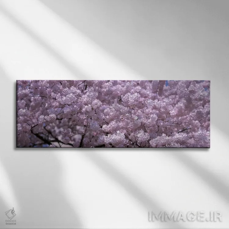 تابلو دکوراتیو Washington DC, Close-up of cherry blossoms,ایالات متحده… اثر پانورامیک ایمجز - نمای روبهرو روی دیوار
