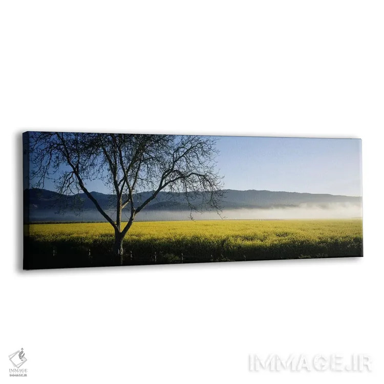 تابلو دکوراتیو Napa Valley, California, USA,مه دوردست، دره ناپا، کالیف… اثر پانورامیک ایمجز - نمای پرسپکتیو محصول