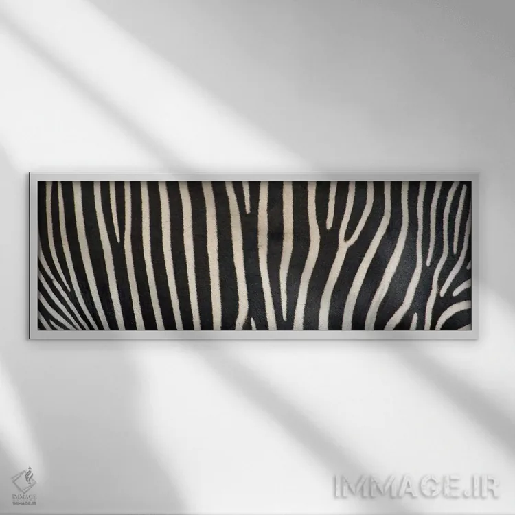 تابلو دکوراتیو خط های گورخر گروی اثر پانورامیک ایمجز - نمای قابدار سفید