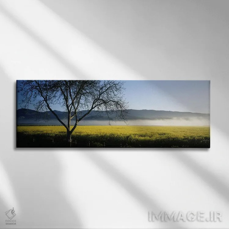 تابلو دکوراتیو Napa Valley, California, USA,مه دوردست، دره ناپا، کالیف… اثر پانورامیک ایمجز - نمای روبهرو روی دیوار