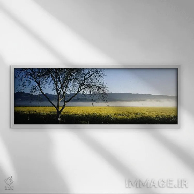 تابلو دکوراتیو Napa Valley, California, USA,مه دوردست، دره ناپا، کالیف… اثر پانورامیک ایمجز - نمای قابدار سفید