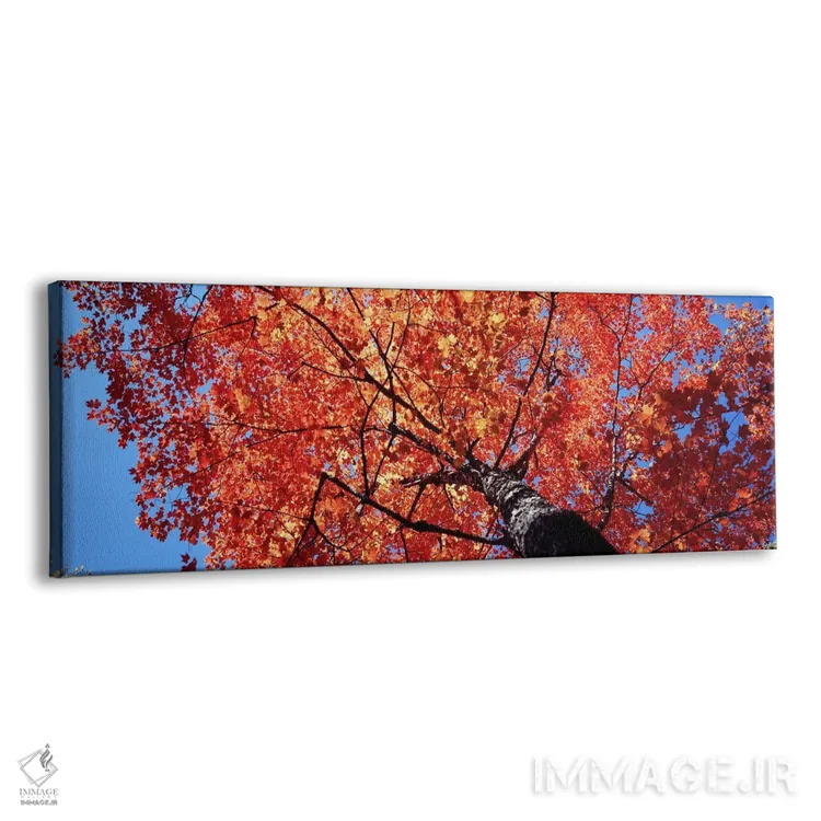 تابلو دکوراتیو Acadia National Park, Mount Desert Island, Maine, USA,ن… اثر پانورامیک ایمجز - نمای پرسپکتیو محصول