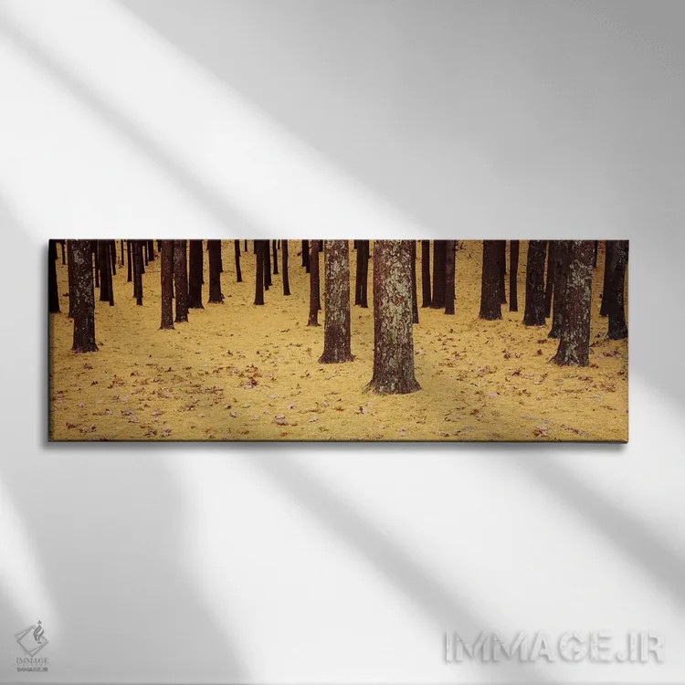 تابلو دکوراتیو Cape Cod, Massachusetts, USA,نمای پایین از درختان کاج و… اثر پانورامیک ایمجز - نمای روبهرو روی دیوار