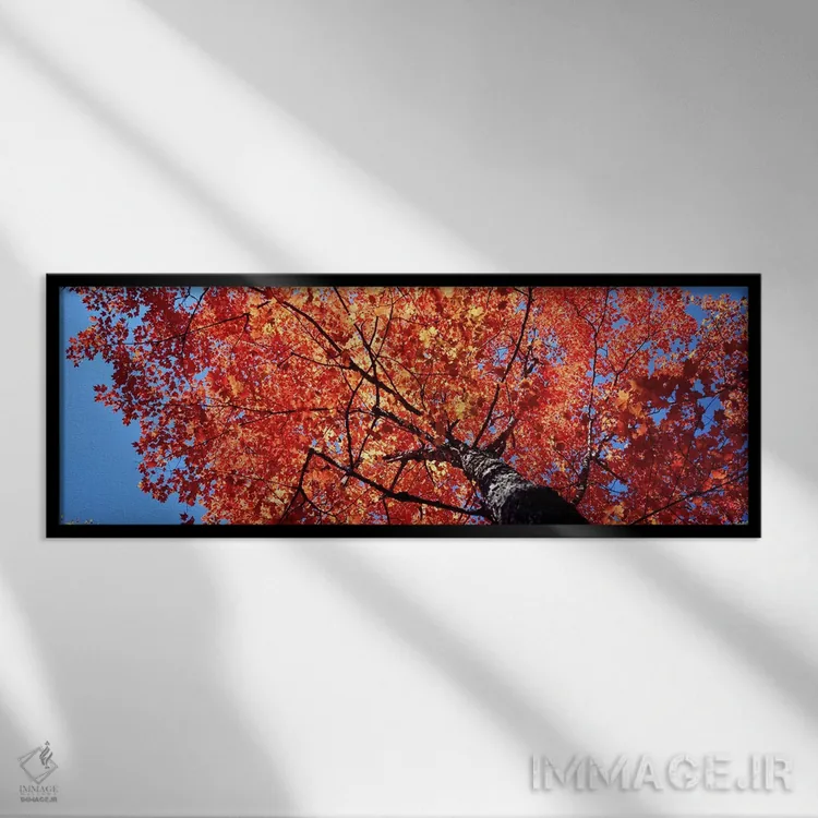 تابلو دکوراتیو Acadia National Park, Mount Desert Island, Maine, USA,ن… اثر پانورامیک ایمجز - نمای قابدار مشکی