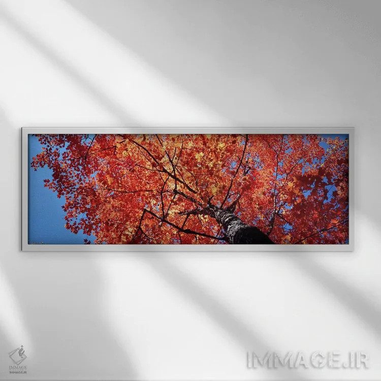 تابلو دکوراتیو Acadia National Park, Mount Desert Island, Maine, USA,ن… اثر پانورامیک ایمجز - نمای قابدار سفید