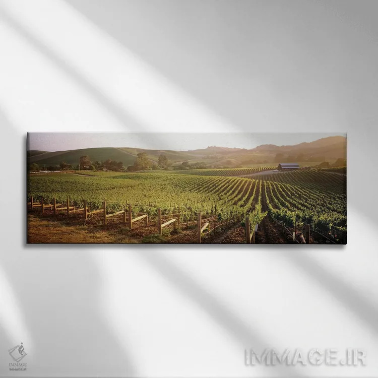 تابلو دکوراتیو Los Carneros AVA, Napa Valley, California, USA,چشم اندا… اثر پانورامیک ایمجز - نمای روبهرو روی دیوار